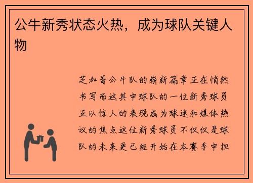 公牛新秀状态火热，成为球队关键人物