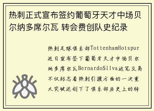 热刺正式宣布签约葡萄牙天才中场贝尔纳多席尔瓦 转会费创队史纪录